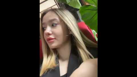 siesta_walker @ stripchat on 20250617