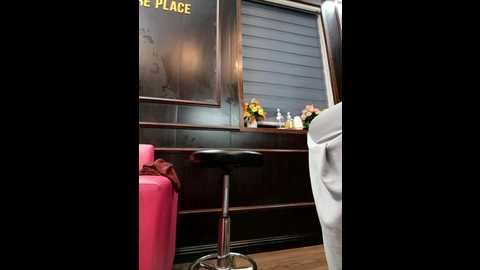 zizi_public @ stripchat on 20250617