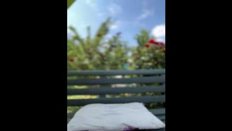 didihairypussy @ stripchat on 20250618