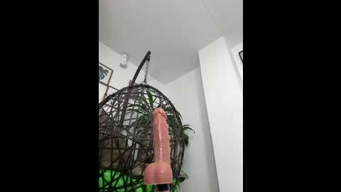 jamilaross @ stripchat on 20250618