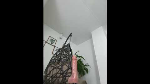 Media: jamilaross Stripchat 2025-06-18 22:18:00