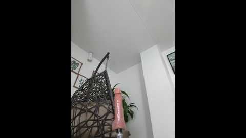Media: jamilaross Stripchat 2025-06-18 23:17:00