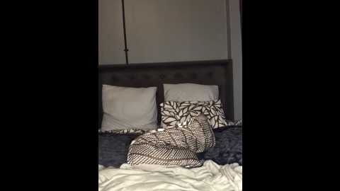 panther_angelo @ stripchat on 20250618