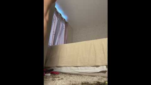 cuteerose @ stripchat on 20250619
