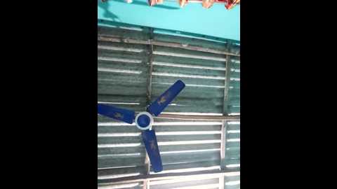 Media: hotbaby_5 Stripchat 2025-06-19 09:59:00