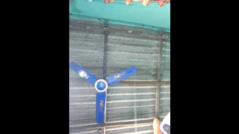 Media: hotbaby_5 Stripchat 2025-06-19 15:08:00