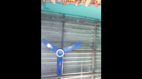 Media: hotbaby_5 Stripchat 2025-06-19 15:13:00