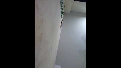lizaann22 @ stripchat on 20250619