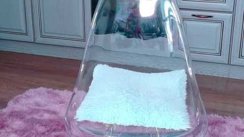 celestielle_ @ stripchat on 20250620