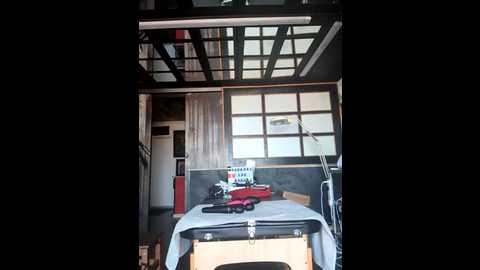darkdea @ stripchat on 20250620