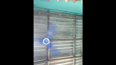 Media: hotbaby_5 Stripchat 2025-06-20 05:38:00