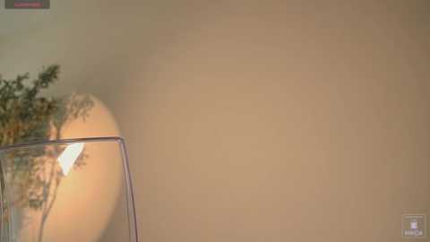 myliss_ @ stripchat on 20250620