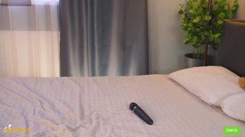 bellacle @ stripchat on 20250621