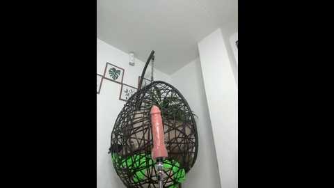 jamilaross @ stripchat on 20250621