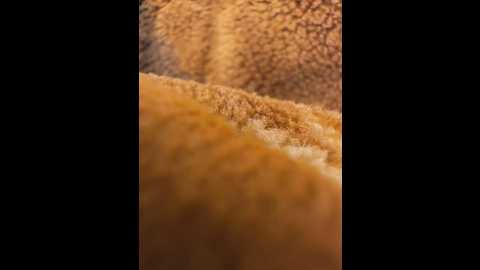 bold_arabic_vibes @ stripchat on 20250622
