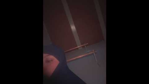 lalilamassu1 @ stripchat on 20250623