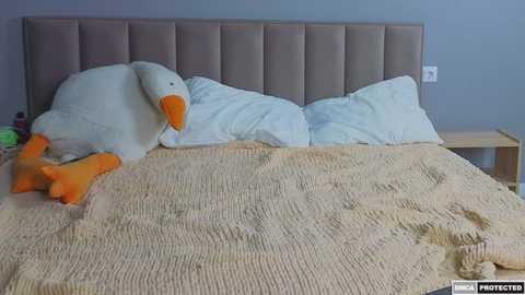 strip_moon @ stripchat on 20250623