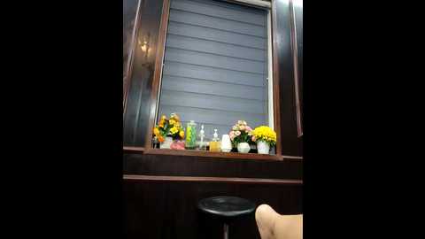 Media: zizi_public Stripchat 2025-06-24 02:39:00