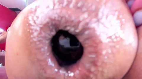 nikkahotx @ stripchat on 20250625