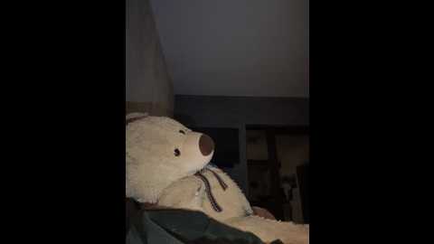 s0nyad @ stripchat on 20250625
