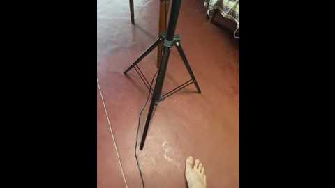ketadeksa @ stripchat on 20250626