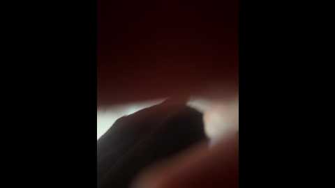 kexin_xin @ stripchat on 20250626
