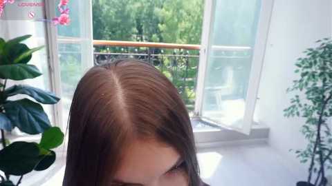 marjorrygree @ stripchat on 20250626
