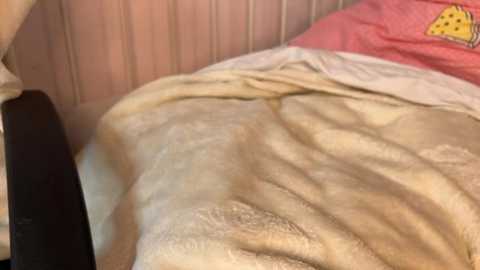melissify @ stripchat on 20250626