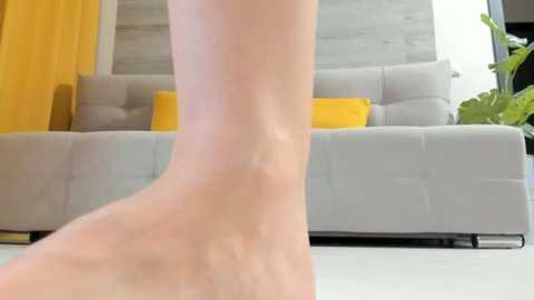 irenehabibi @ stripchat on 20250627