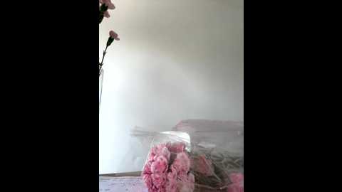 streetdoll @ stripchat on 20250627
