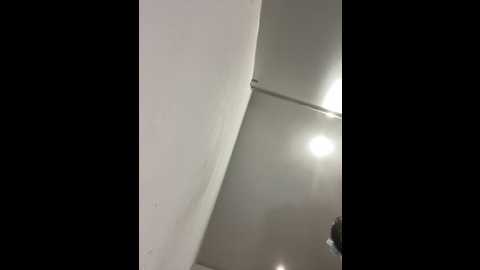 xiao_lin @ stripchat on 20250627