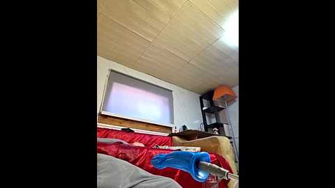 zasmin3 @ stripchat on 20250627