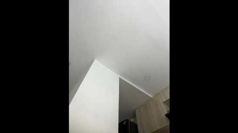 Media: nicolecut Stripchat 2025-06-28 13:49:00