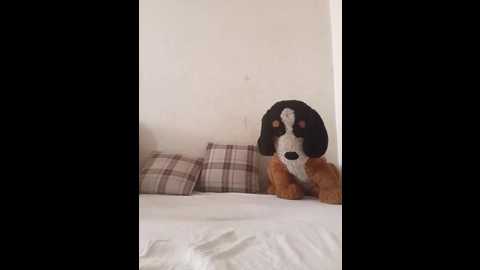 Media: ruby_quin Stripchat 2025-06-28 07:54:00