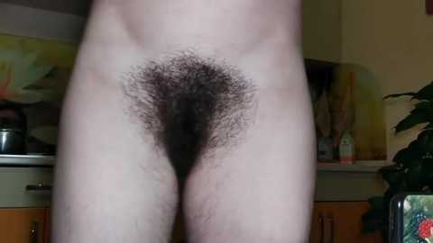 thickforest69 @ stripchat on 20250628