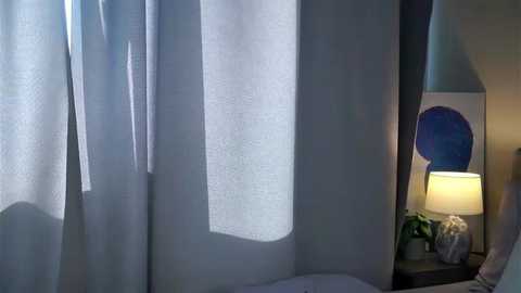 aftonconnett @ stripchat on 20250629