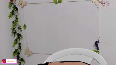Media: aysel_elid Stripchat 2025-06-29 02:04:00