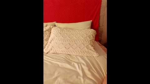 onlyrima @ stripchat on 20250629
