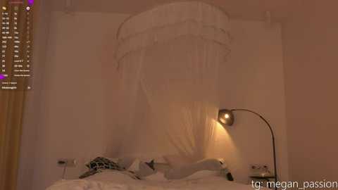 Media: top_of_passion Stripchat 2025-06-29 18:38:00