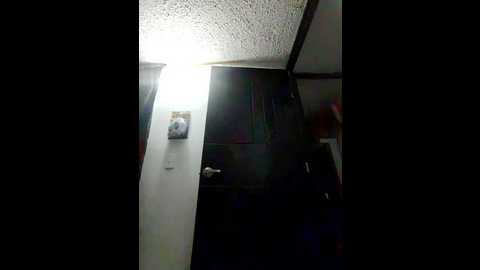 tammara_wilson @ stripchat on 20250630