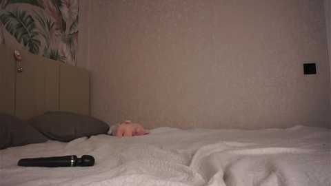 wildaheldreth @ stripchat on 20250630