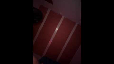 lalilamassu1 @ stripchat on 20250701