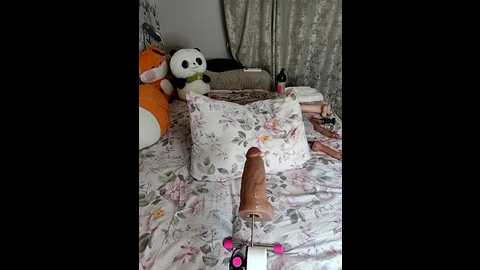 Media: lola_hale Stripchat 2025-07-01 19:18:00