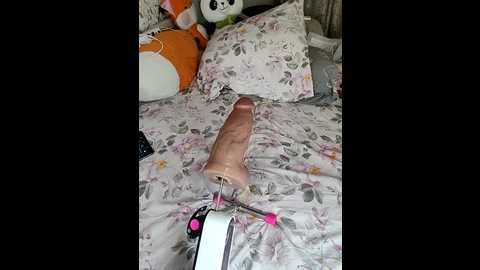 lola_hale @ stripchat on 20250701