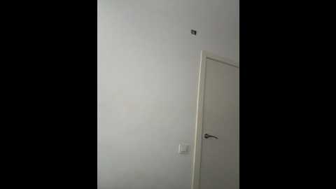 mint_melissaaa @ stripchat on 20250701