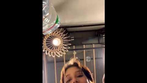 urban_elf @ stripchat on 20250701