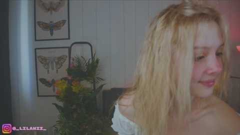 little_anitta @ stripchat on 20250702