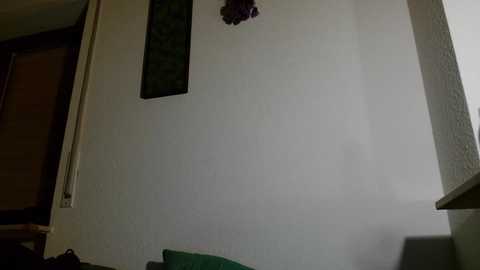 saysay_7 @ stripchat on 20250702