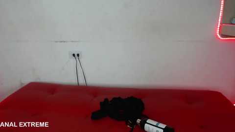 slutt_obedient @ stripchat on 20250703