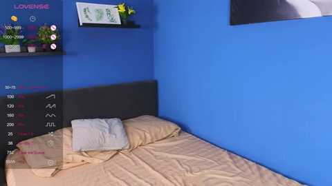 bonnie_white @ stripchat on 20250704
